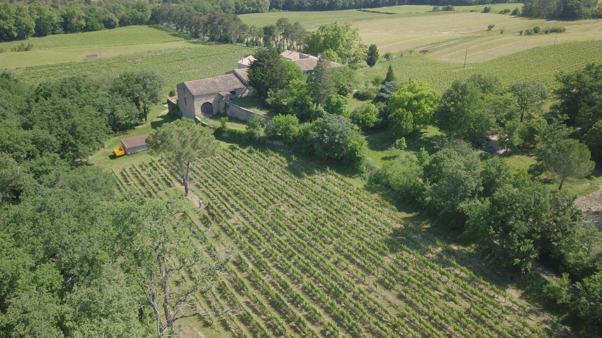 Gres Vaillant Villa Saint-Polycarpe Exterior photo